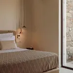 Asty Mykonos & Hotel Mykonos Town